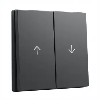 Tampa de tecla GIRA System 55 tecla 2 módulos seta antracite (modelo 329428)