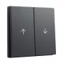 Tampa de tecla GIRA System 55 tecla 2 módulos seta antracite (modelo 329428)