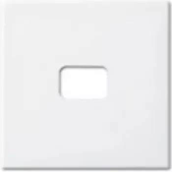 Tecla basculante aberta BUSCH-JAEGER para símbolo 2520-914 Busch-balance SI branco alpino 2520-914 (1731-0-2008)