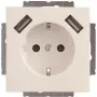 Busch-Jaeger tomada SCHUKO-2x USB 20 EUCB2USB-84 (2CKA002011A6273)