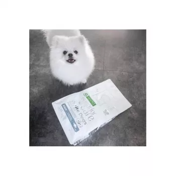 NATURE'S PROTECTION White Dogs GF White Fish Adult Small ração seca para cães 4 kg