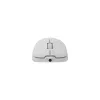 Rato White Shark GM-5014 Graphene branco USB