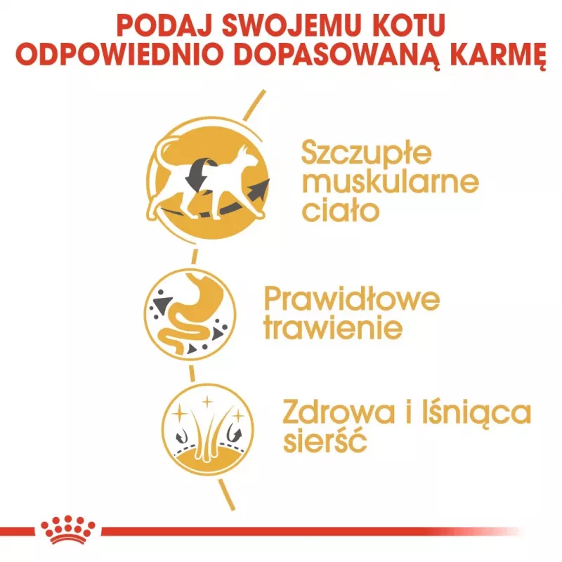 Royal Canin Siamese Adult ração seca para gatos, 2 kg