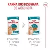 Comida húmida para gatos Royal Canin FHN Ageing 11+ Gravy 12×85 g – comida húmida completa sénior em tigelas