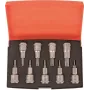 Conjunto de bits para chave de fendas Bahco 9 peças S9TORX (S9TORX)