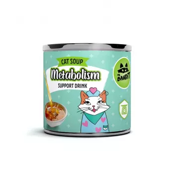 VETEXPERT Mr. Bandit Suporte Metabólico Salmão – bebida funcional para gatos – 95 ml