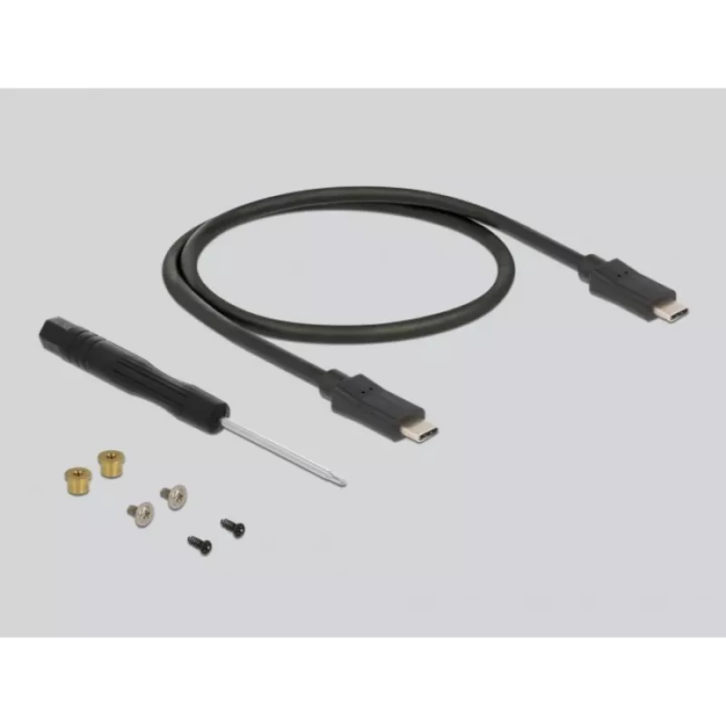 Caixa para SSD DeLOCK 42003 caixa externa para SSD M.2 SATA com USB Type-C