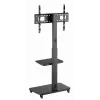 Suporte de chão para TV Gembird TVS-75S-02 com rodas, 37 - 75, preto