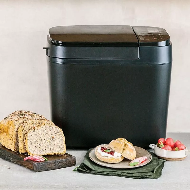 Panasonic | Máquina de fazer pão | SD-R2530 | Potência 550 W | Número de programas 30 | Visor Sim | Preto