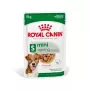 Comida húmida Royal Canin Mini Ageing 12+ Adult 85 g saqueta — raças pequenas, aves, sénior