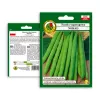 Sementes de feijão Nomad Green Dwarf, 50g - sementes de hortícolas