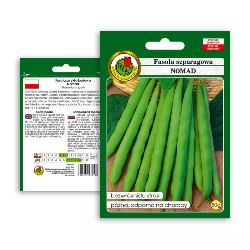 Sementes de feijão Nomad Green Dwarf, 50g - sementes de hortícolas