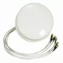 Antena ALLNET 2,4/5 GHz 4 dBi DualBand Spatial Diversity MIMO de teto HG2458-4SDC-RSP