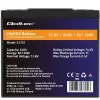 Bateria de lítio-ferro-fosfato LiFePO4 Qoltec 53702 | 12,8V | 24Ah | 307,2Wh | BMS