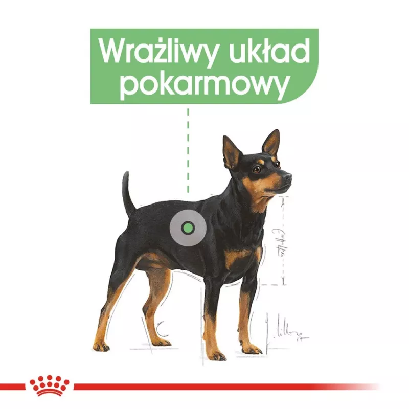 Ração seca para cães Royal Canin Mini Digestive Care 3 kg — raças pequenas, aves, adultos, apoio à digestão