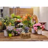 Mangueira Gardena AquaBloom 20m preta 13301-20