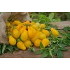 Sementes de tomate-cereja Perun Toraf, embalagem de 0,5 g