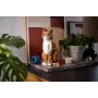 LEGO IDEAS 21376 Gato laranja