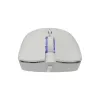 Baracuda BGM-022 OCTOPUS branco