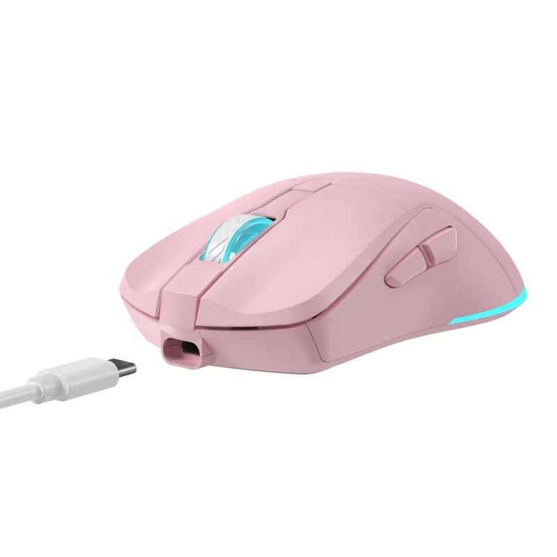Rato Baracuda BGM-124 Turtle rosa TURTLE-P