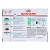 Royal Canin Digest Sensitive Care - Comida húmida para gatos - 12x85g