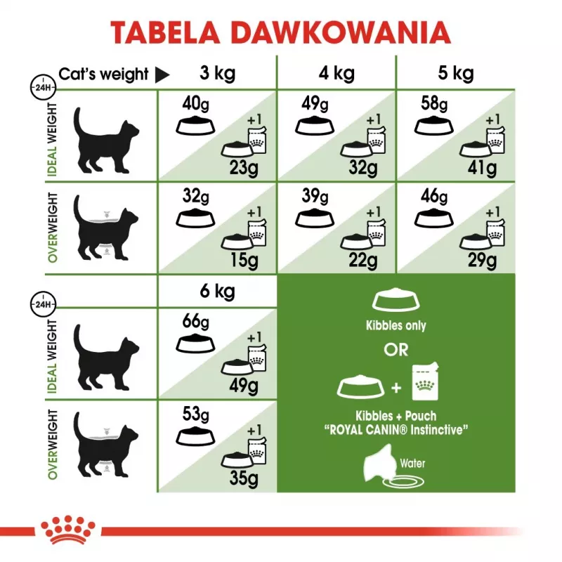 Ração seca para gatos Royal Canin Active Life Outdoor 4 kg — adulto, aves, 30% proteína, 20% gordura