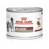 Royal Canin Recovery comida húmida para cães e gatos, 195 g
