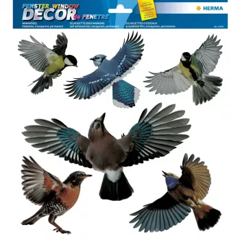 Autocolante decorativo HERMA 15539 película multicolor removível pássaro