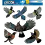 Autocolante decorativo HERMA 15539 película multicolor removível pássaro