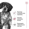 ROYAL CANIN SHN Medium Ageing pão lata 410 g