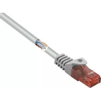 Cabo de rede Ethernet Renkforce RF-5043810 cinzento