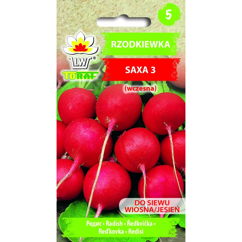 Sementes de rabanete Saxa 3, embalagem de 10 g