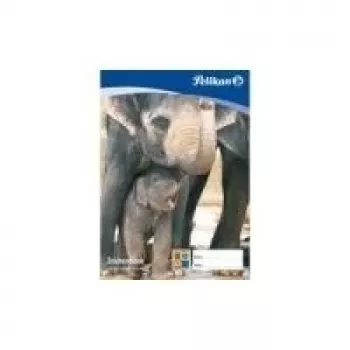 Bloco de desenho Pelikan C 2-10, DIN A2, 100 g/m², 10 folhas branqueadas sem cloro, perfurado (137604)