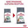Royal Canin Digestive Care Adult ração seca para gatos, 10 kg, peixe, aves, arroz, legumes