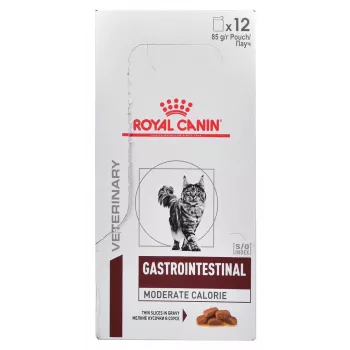Ração húmida para gatos Royal Canin Gastrointestinal Moderate Calorie 12 x 85 g saquetas, gatos adultos, sabor a carne, 82,2 % humidade