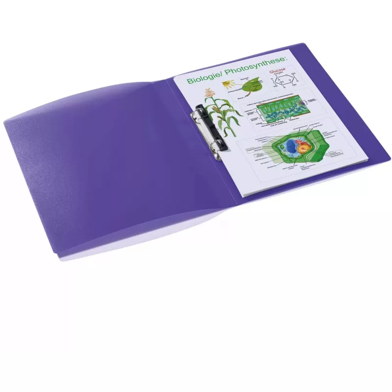 Ficheiro de argolas HERMA 19183 A4 violeta