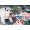 Pasta de dentes para cães e gatos VIRBAC pasta enzimática 70 g