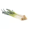 PNOS alho-francês Starozagorski Kamush sementes de hortícolas, 1 g