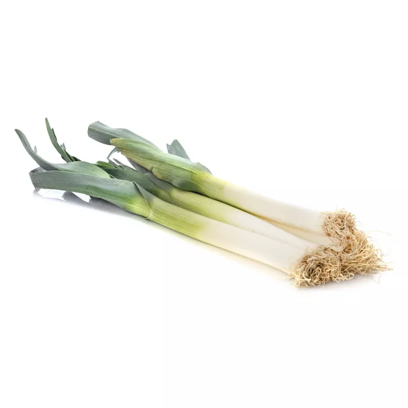 PNOS alho-francês Starozagorski Kamush sementes de hortícolas, 1 g