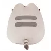 Pusheen Pizza 24 cm