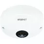Câmara de segurança IP Hanwha QNF-8010 dome 2048 x 2048 píxeis