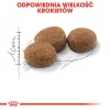 Ração seca para gatos Royal Canin Sterilised 2 kg – gatos adultos esterilizados, frango, 37% proteína
