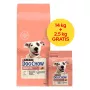 PURINA Dog Chow Sensitive Salmon - Ração seca para cães - 14 + 2,5 kg
