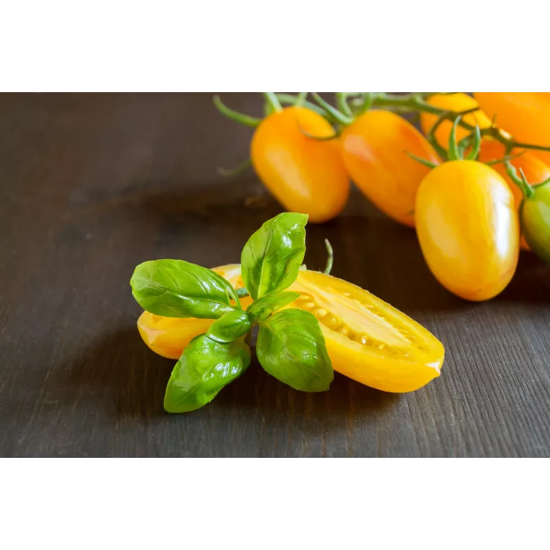 Sementes de tomate-cereja Perun Toraf, embalagem de 0,5 g