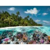 Puzzle Ein Dive in the Maldives (2000 peças)