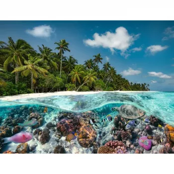 Puzzle Ein Dive in the Maldives (2000 peças)