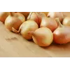 Sementes de hortícolas cebola Wolska Toraf, pacote 5g