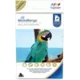 Papel fotográfico MediaRange MRINK115 brilhante 150 g/m² jato de tinta