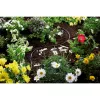 Mangueira de jardim Gardena 1362-20 15 m de superfície preto