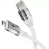 Goobay 74177 - Adaptador de rede cabo USB 3.1 Type-C Gigabit Ethernet 3 m - Placa de rede - 1.000 Mbps (74177)
